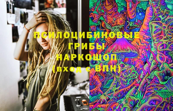 МДПВ Алзамай