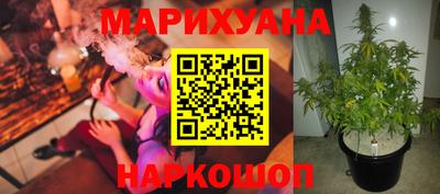 прущие грибы Дмитров