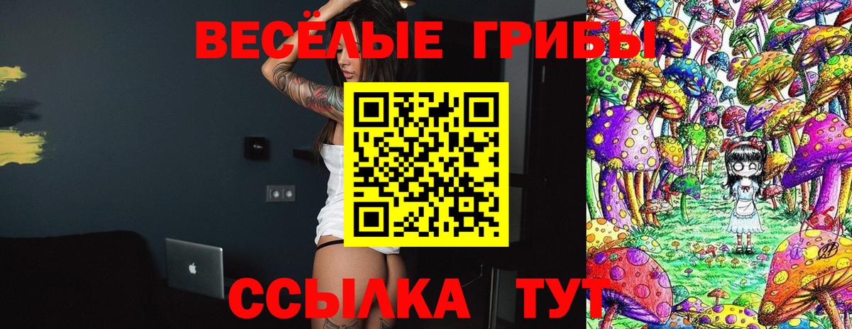 Псилоцибиновые грибы Psilocybe Евпатория