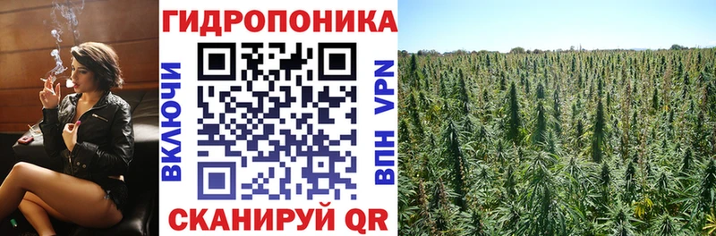 цена   Евпатория  Конопля планчик 
