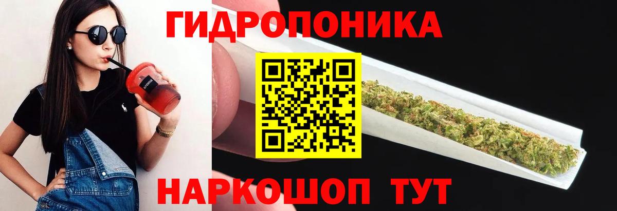 Бошки марихуана Amnesia  Марихуана планчик  Евпатория  Бошки Шишки тримм  Вход с VPN 